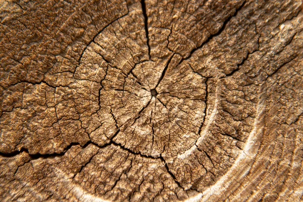 Kulatý Dřevěný Průřez Kruhy Prasklinami Přírodní Hnědé Pozadí Textura — Stock fotografie