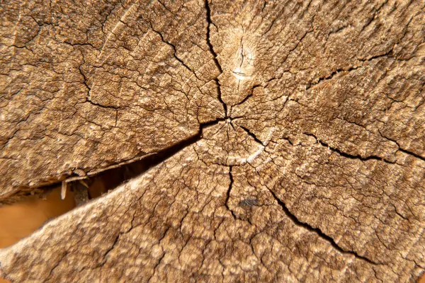 Kulatý Dřevěný Průřez Kruhy Prasklinami Přírodní Hnědé Pozadí Textura — Stock fotografie