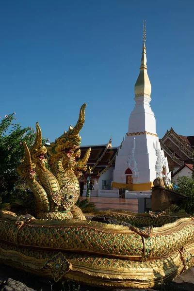 Serpent Naga Guardians Wat Phra Choeng Chum Worawihan Important Sacred — Stock Photo, Image