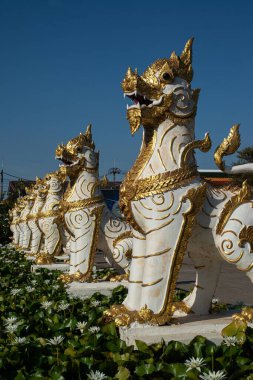 Aslan ya da aslan koruma olarak hizmet eder. Choeng Chum Worawihan 'ın Wat Phra' da korunması şehrin en kutsal yeridir. Antik çağlardan beri. Bu çok güzel bir Tayland ulusal sanatı..