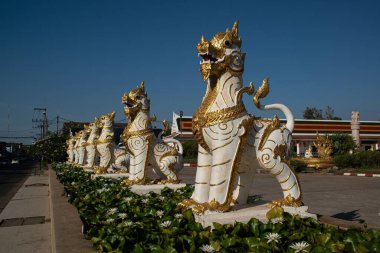 Aslan ya da aslan koruma olarak hizmet eder. Choeng Chum Worawihan 'ın Wat Phra' da korunması şehrin en kutsal yeridir. Antik çağlardan beri. Bu çok güzel bir Tayland ulusal sanatı..