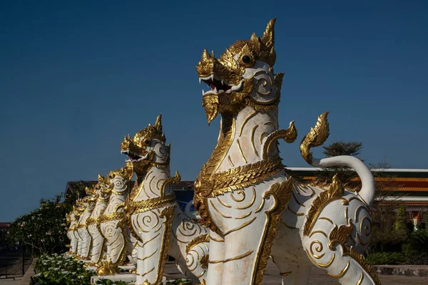 Leo Lion Serves Protection Preserving Place Wat Phra Choeng Chum — ストック写真