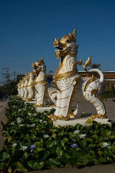 Leo Lion Serves Protection Preserving Place Wat Phra Choeng Chum — Fotografia de Stock