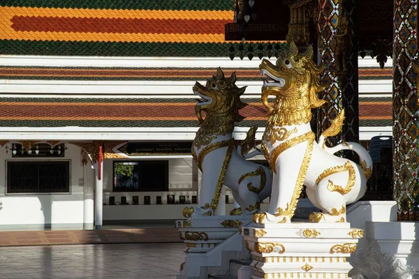 Лев Лев Служит Защитой Сохранение Места Ват Пхра Ченг Чум — стоковое фото