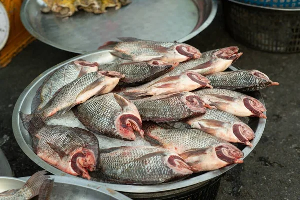 Animal Products Cooking Sold Street Food Market Fresh Fish Meat — Photo