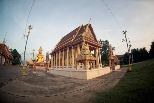 Large Outdoor Golden Sitting Buddha Thai Church Enshrined Wat Thewa — Foto de Stock