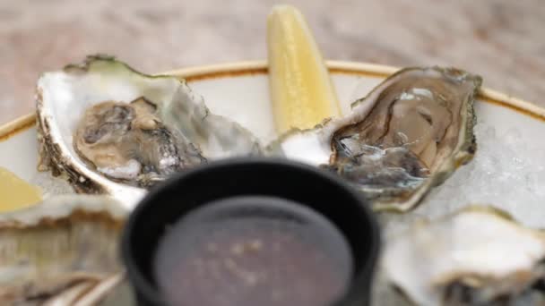 Een Schotel Verse Oesters Met Oestersaus Close Lichte Achtergrond Oesters — Stockvideo