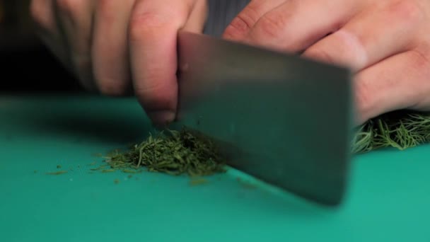 Dill Finely Chopped Knife France Fresh Dill Care Cut Small — Stockvideo