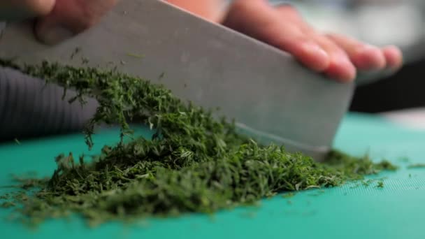 Dill Finely Chopped Knife France Fresh Dill Care Cut Small — Stok Video