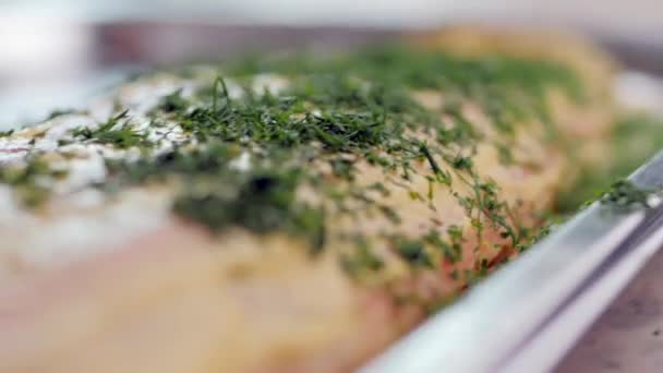 Sprinkle Red Fish Mustard Sauce Fresh Chopped Herbs Dill Chickens — Stock video