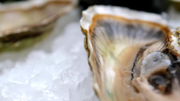 Oyster Delicacy Beautifully Presented Platter Oyster Sauce Ice Fresh Lemon — Vídeo de Stock