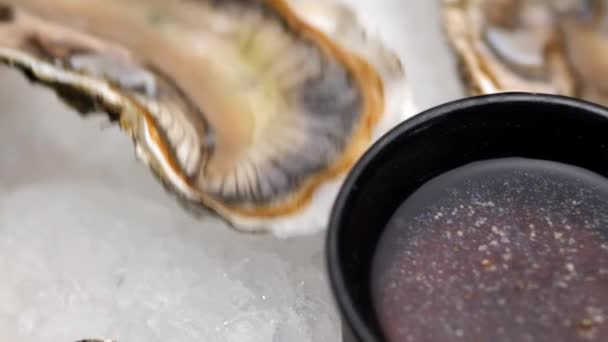 Oyster Delicacy Beautifully Presented Platter Oyster Sauce Ice Fresh Lemon — Vídeo de Stock