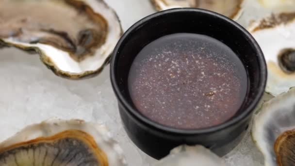 Oyster Delicacy Beautifully Presented Platter Oyster Sauce Ice Fresh Lemon — Vídeo de Stock