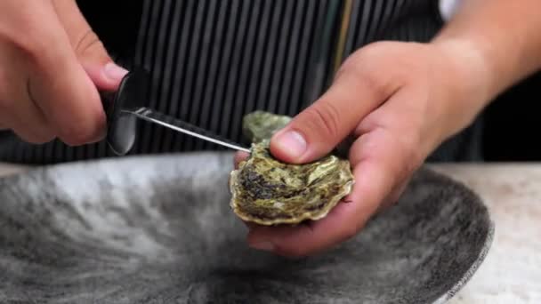 Fresh Oyster Visually Cut Open Knife Hands Chef Open Shell — Vídeos de Stock