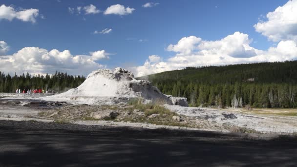 Geyser del castello — Video Stock