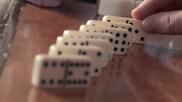 Domino — Wideo stockowe