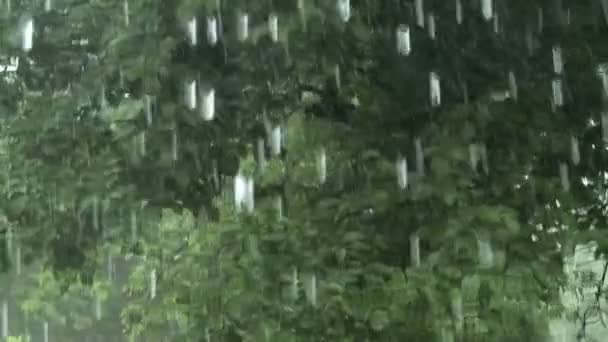 Дождь из окна — стоковое видео