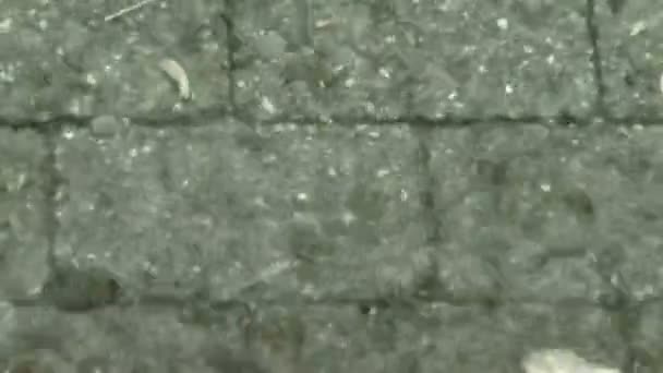 雨下在砖上 — 图库视频影像