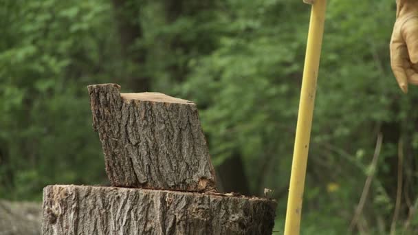 Picado de madera — Vídeo de stock