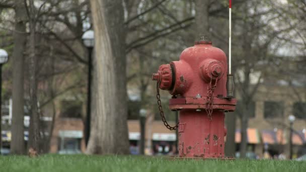 Fire hydrant — Wideo stockowe