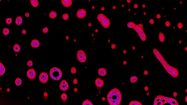 Espuma de néon — Vídeo de Stock
