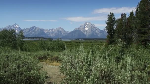 Pad naar Tetons boven u uit — Stockvideo