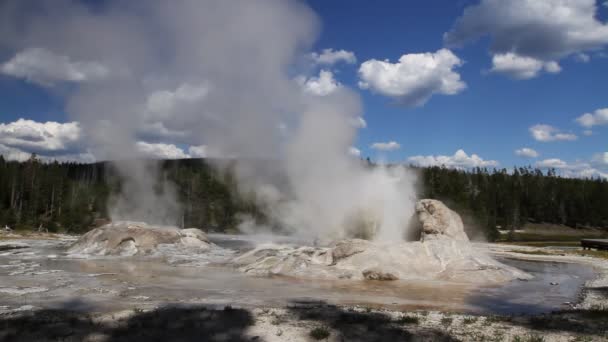 Grotto geyser — Stockvideo