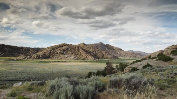 Wyoming περιοχή με χαμηλή βλάστηση — Αρχείο Βίντεο