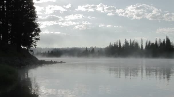 霧の湖の日の出 — ストック動画