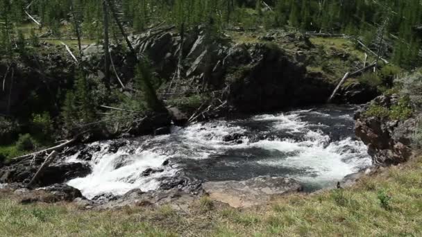 Gardner River falls — Stok video