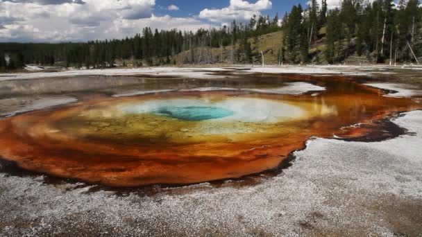 Yellowstone piękno basen — Wideo stockowe