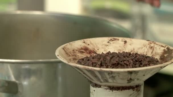 Sucos de cacau Nibs — Vídeo de Stock