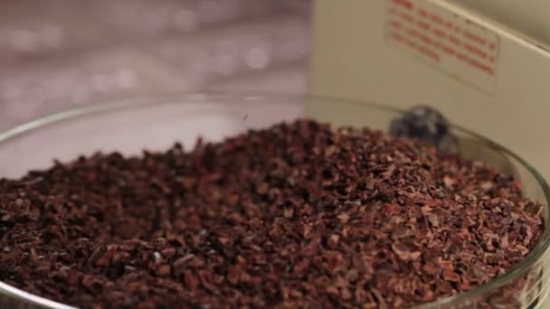 Вичавлювати сік какао послідовність — стокове відео
