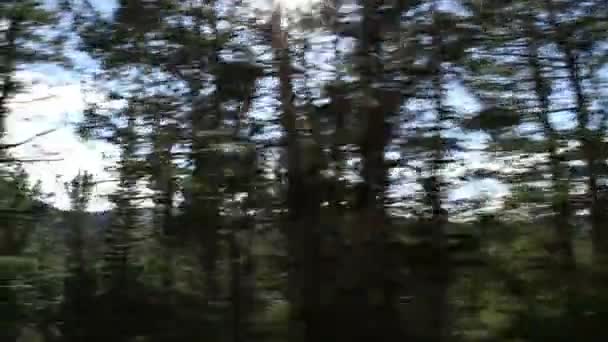 Yellowstone Drive avec Sun Flare 