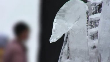Ice swan detay