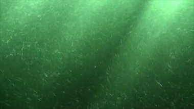 Sualtı Nehri döngü