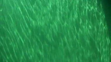 Yeşil ripples
