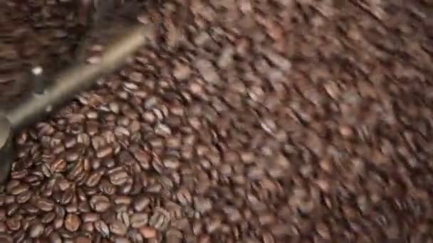 Fresh Roast Coffee Beans — Stock Video