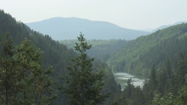 Scène de montagne 