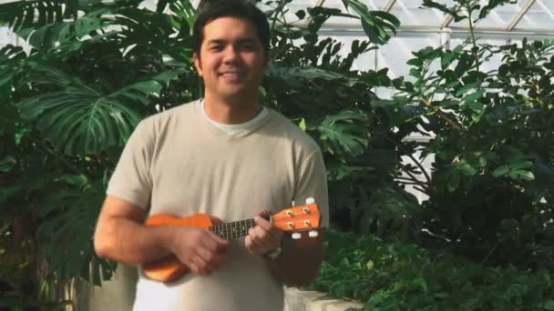 Tropische ukulele — Stockvideo