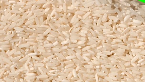 Long Grain Rice — Stock Video
