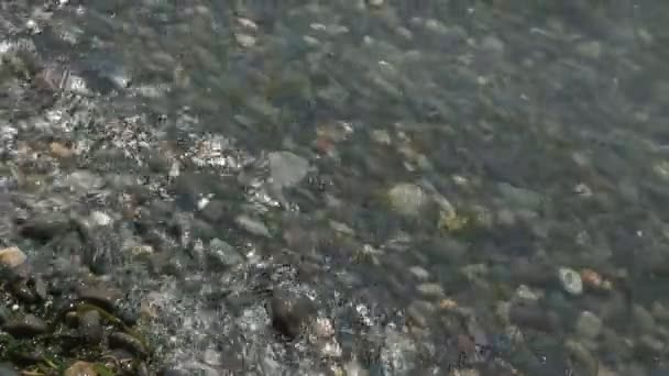 海と小石 — ストック動画
