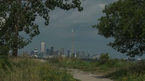 Toronto skyline — Stockvideo