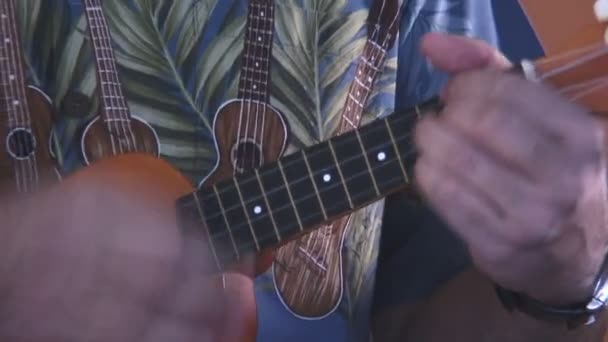 Tropische ukulele — Stockvideo