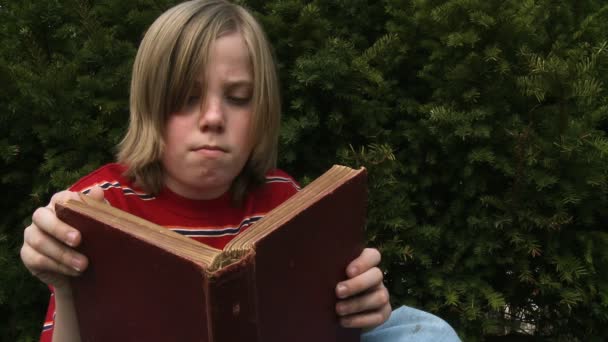 Chico leyendo — Vídeo de stock