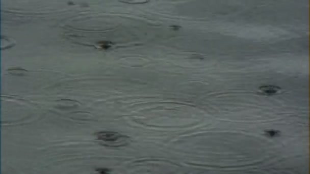 Річка дощ — стокове відео