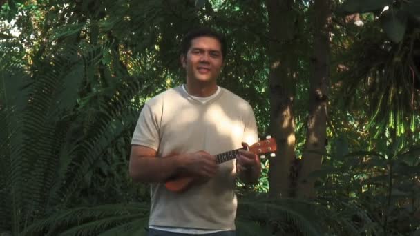 Tropische ukulele — Stockvideo