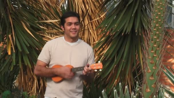 Tropische Ukulele — Stockvideo