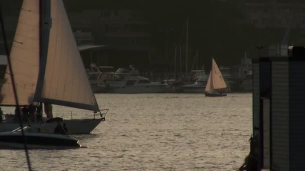 Sunset Sailboats — Stock Video