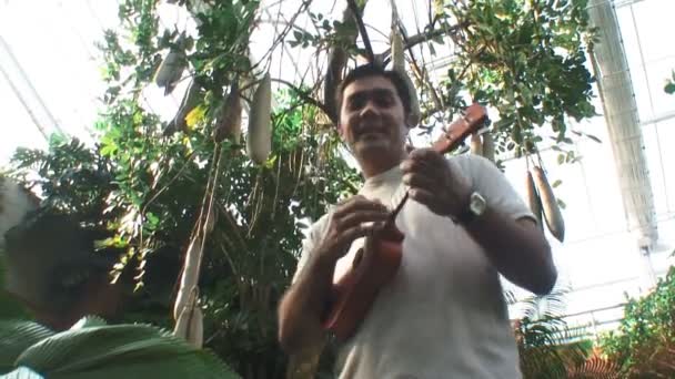 热带夏威夷四弦琴 — 图库视频影像